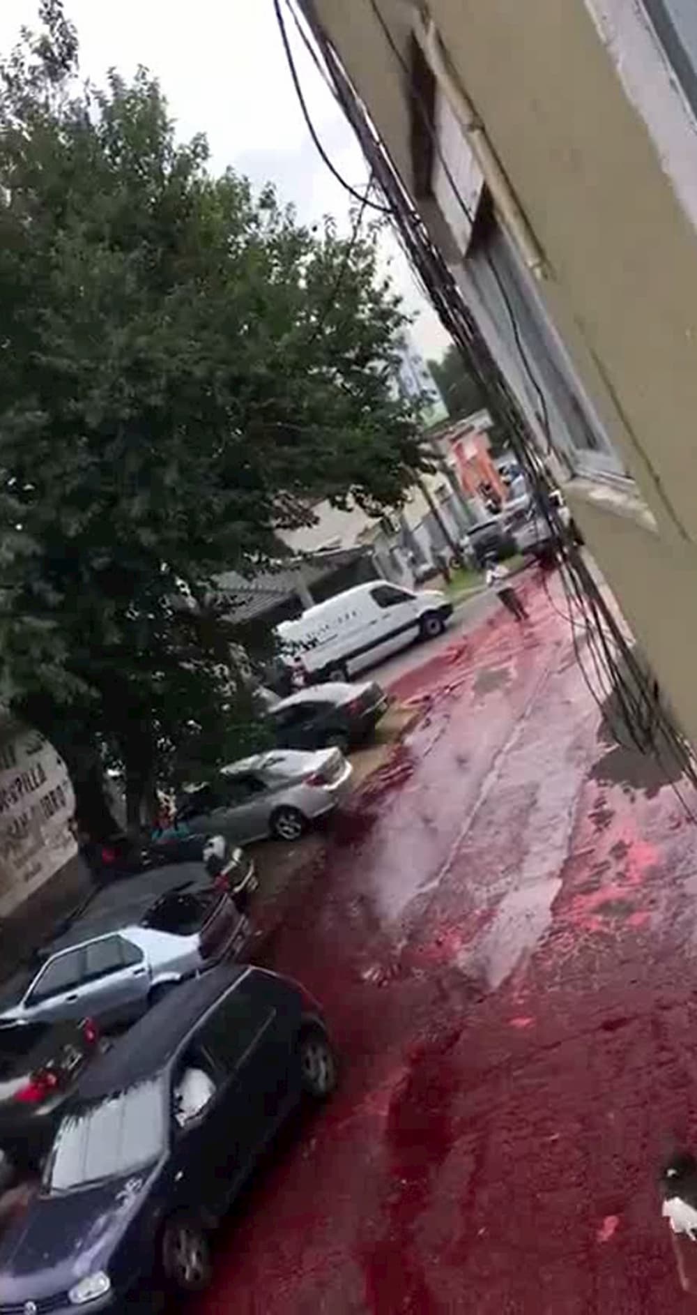 calles-argentina-cubiertas-sangre